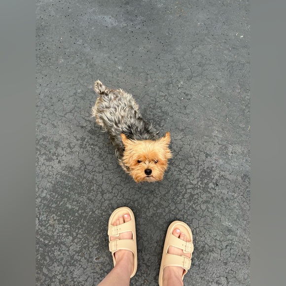 Meet your Posher, Emily - Picture 1 of 1